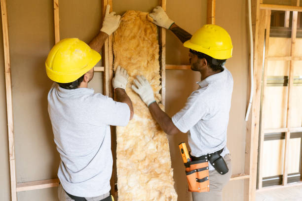 Best Insulation Removal  in Grand Ledge, MI