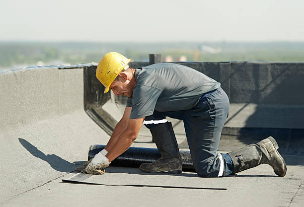 Best Spray Foam Insulation  in Grand Ledge, MI