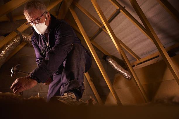 Reliable Grand Ledge, MI Insulation Contractor Solutions